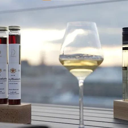 酒店 Saint Pierre Boutique-hotel