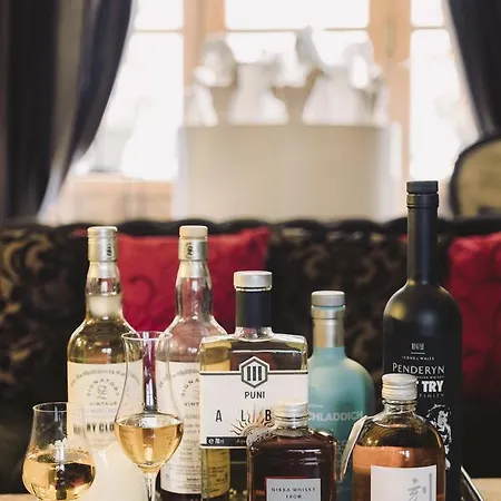 Saint Pierre Boutique-hotel 索米尔